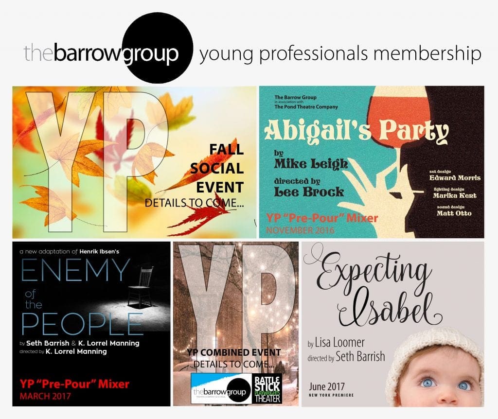 the barrow's group young professional membership banner